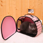 Portable-Pet-Carrier-For-Cats-Dogs-Pet-Kennel-Cat-Pet-Carrier-Bag-Pet-Travel-Carrier-With_1c12bd70-e0f2-4ec8-a2de-6bad286e1743_1200x1200.jpg